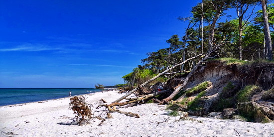 Ferienwohnung Ostsee Darss und Zingst