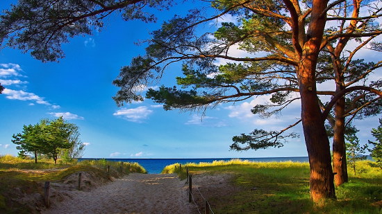 zinnowitz-usedom-ostsee